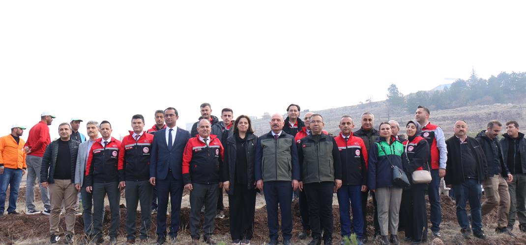 11 Kasım Milli Ağaçlandırma Günü