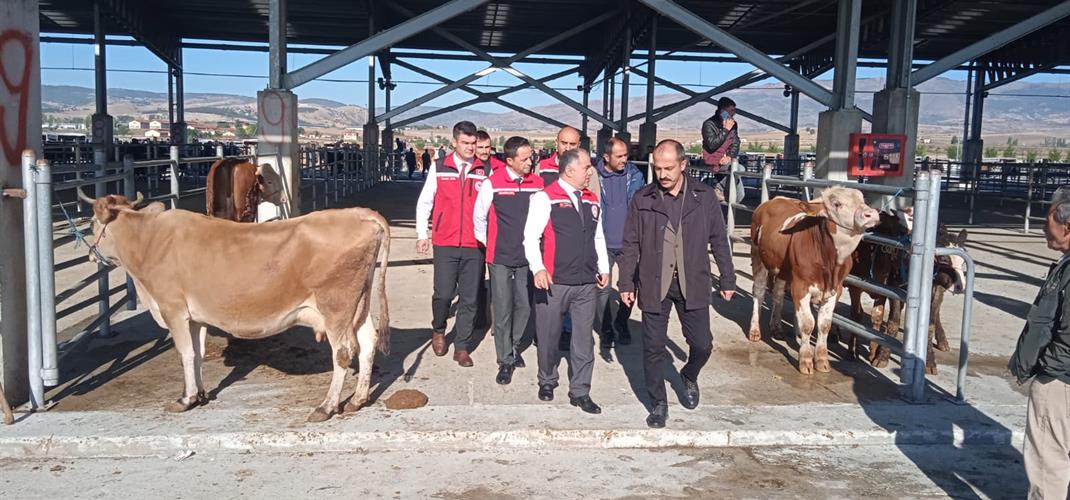 UZUN SÜREDİR ŞAP HASTALIĞI SEBEBİYLE KAPALI OLAN HAYVAN PAZARIMIZ, YENİDEN KAPILARINI AÇTI