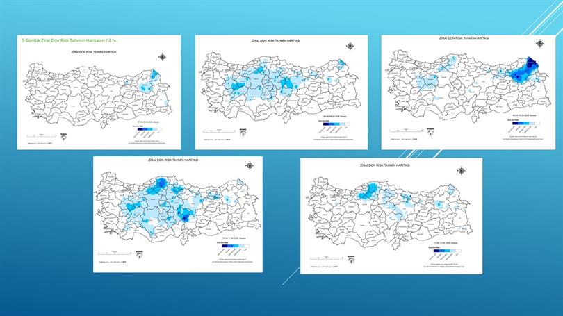 5 Günlük Zirai Don Risk Haritası